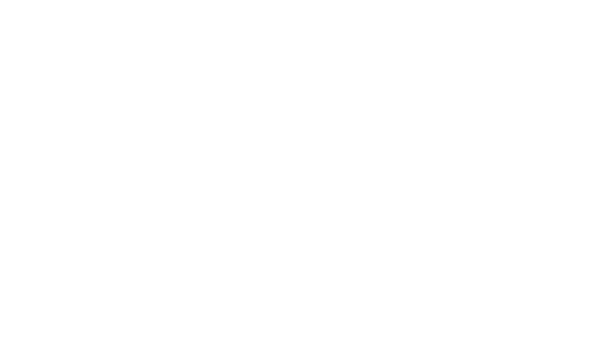 Salvation of Mogul